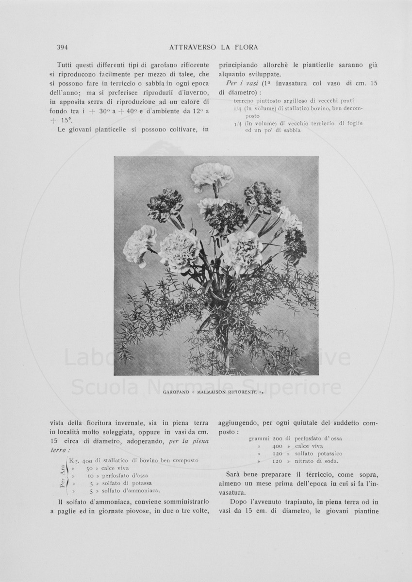 pagina