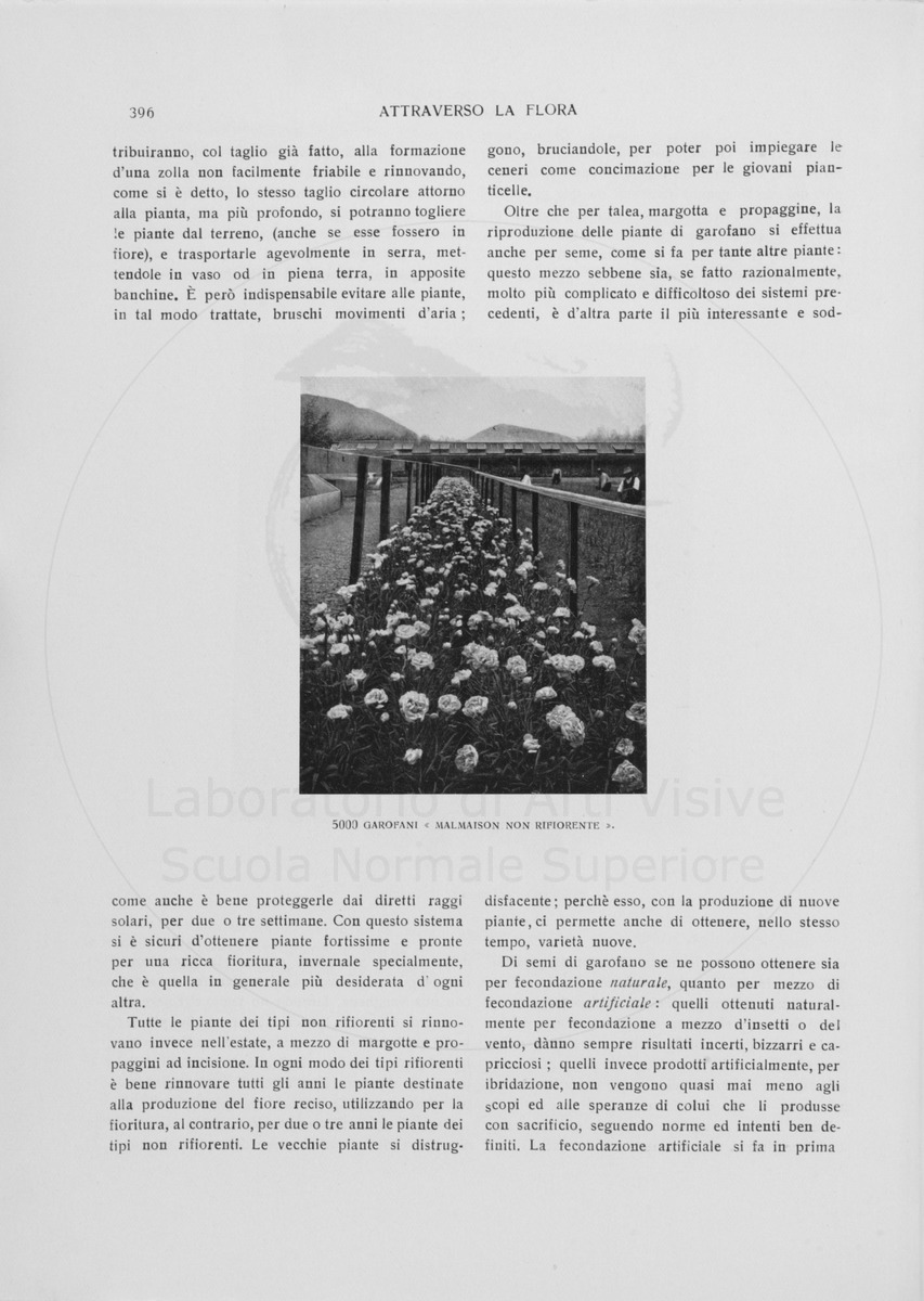 pagina