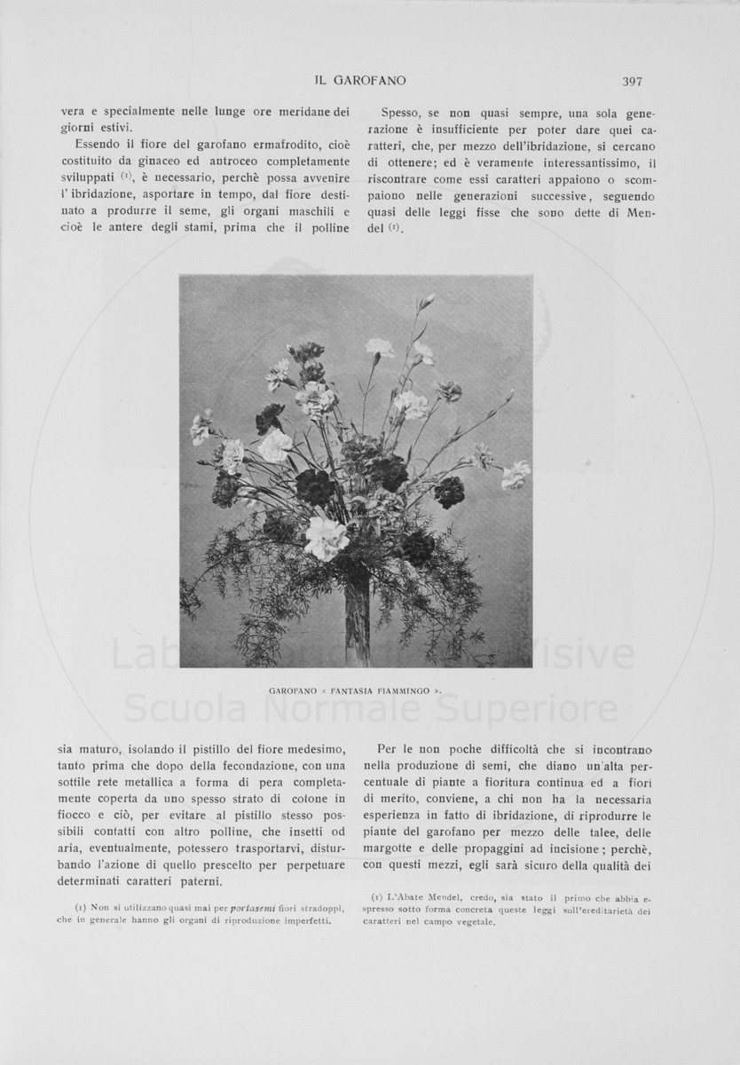 pagina
