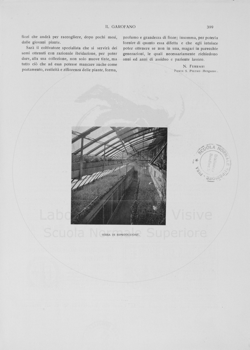 pagina