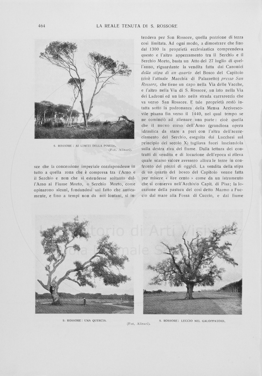 pagina