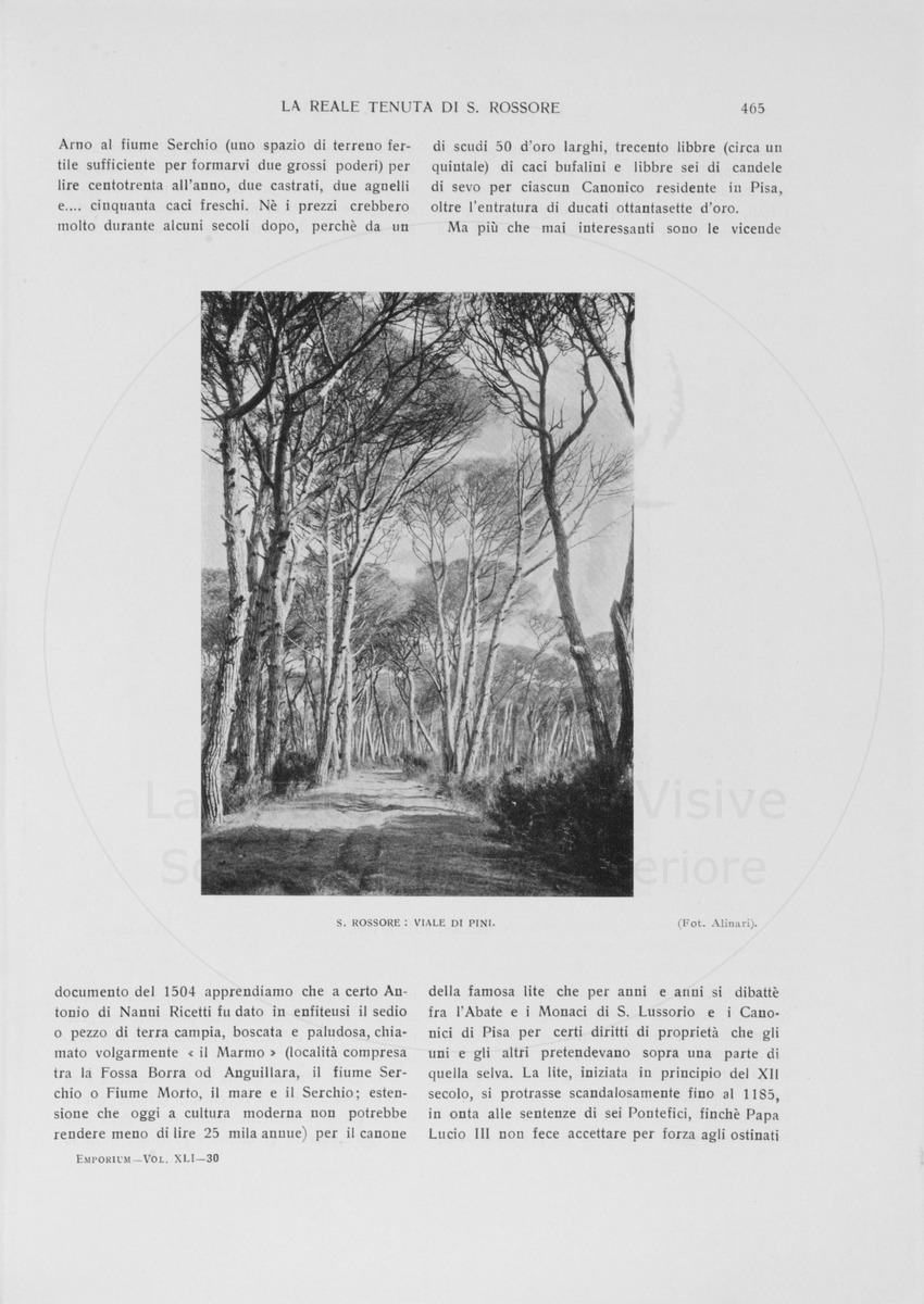 pagina