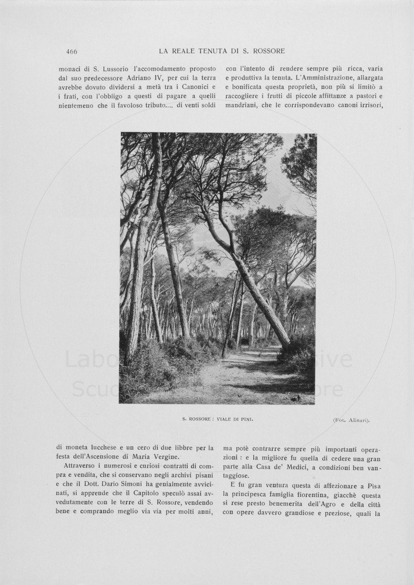 pagina