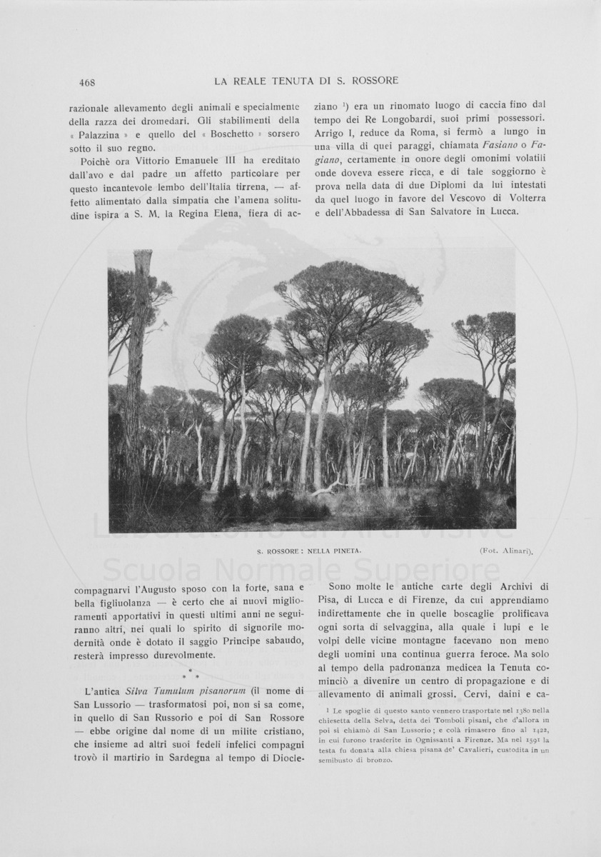 pagina