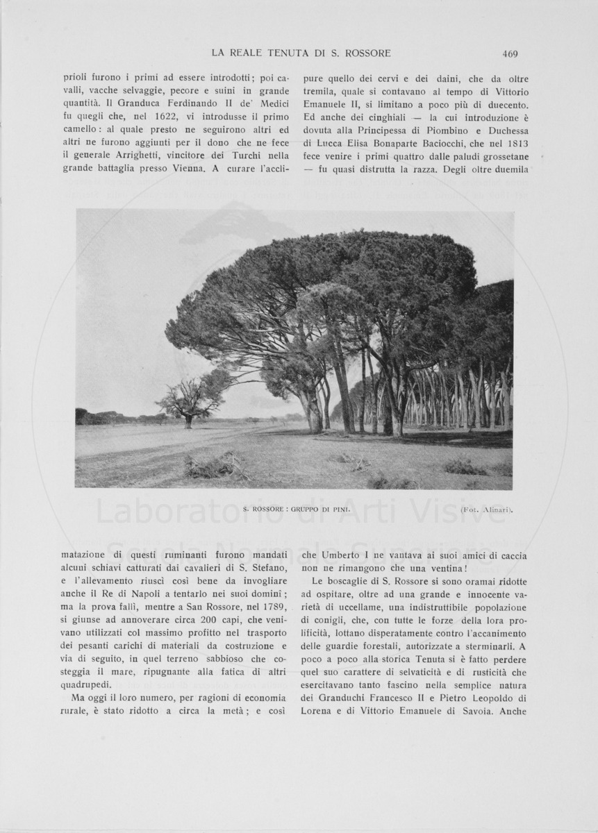 pagina