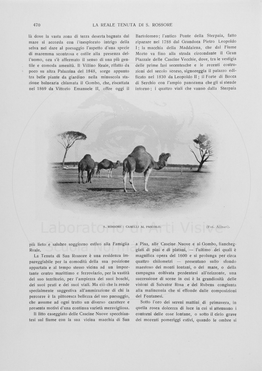pagina