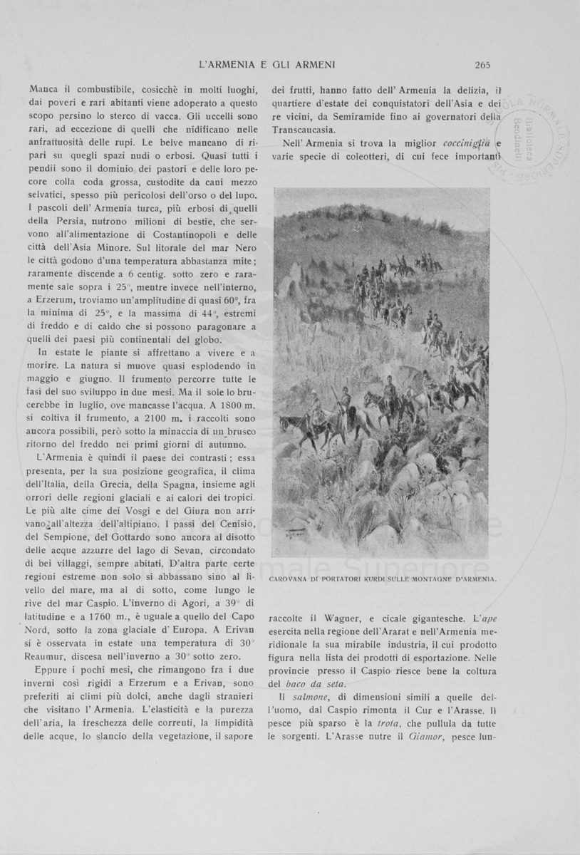 pagina