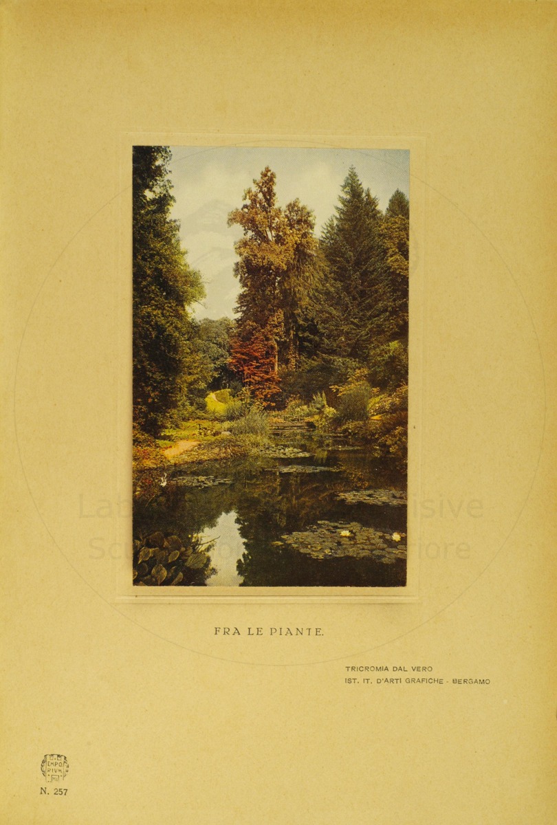 pagina