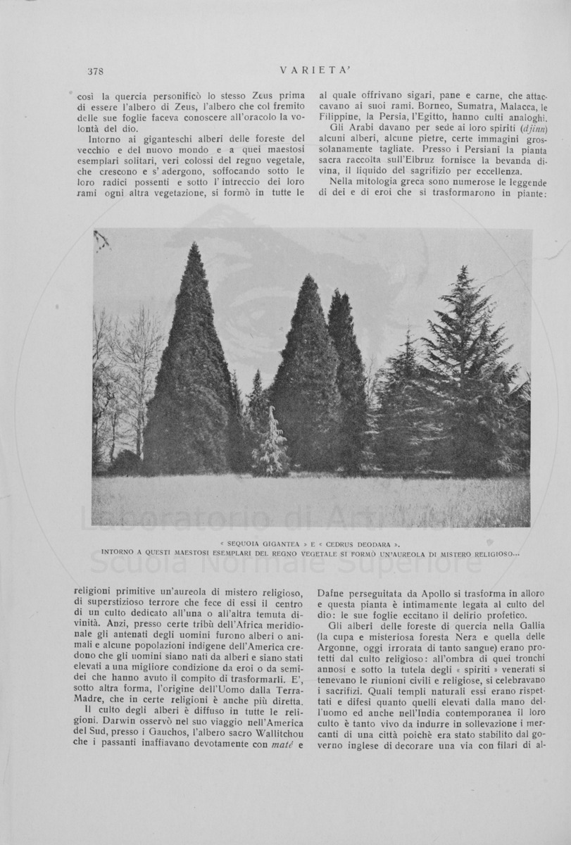 pagina
