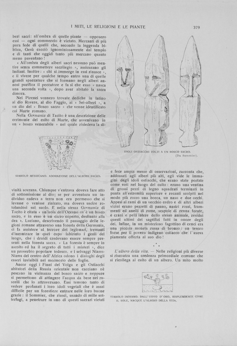 pagina