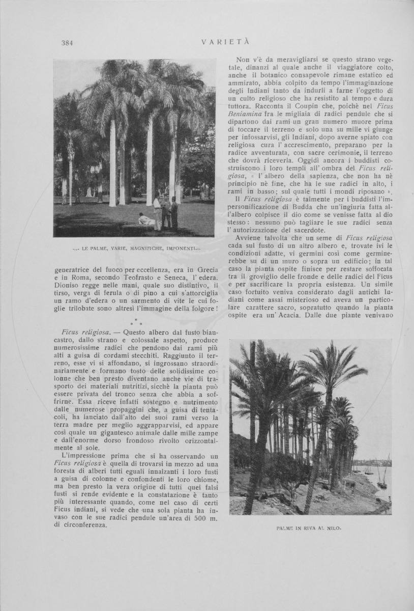 pagina