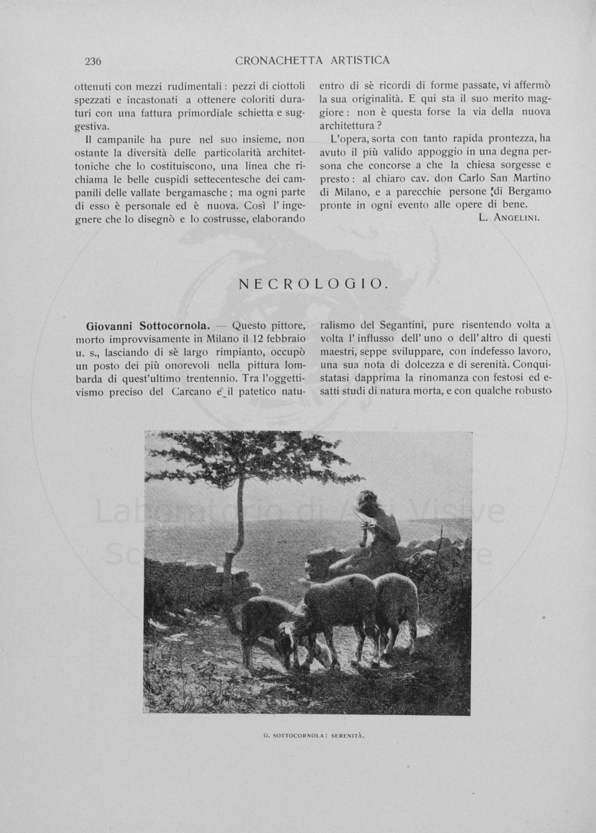 pagina
