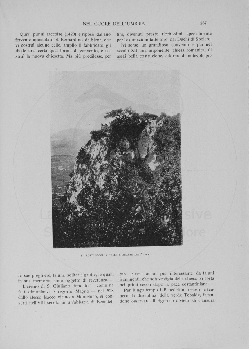 pagina