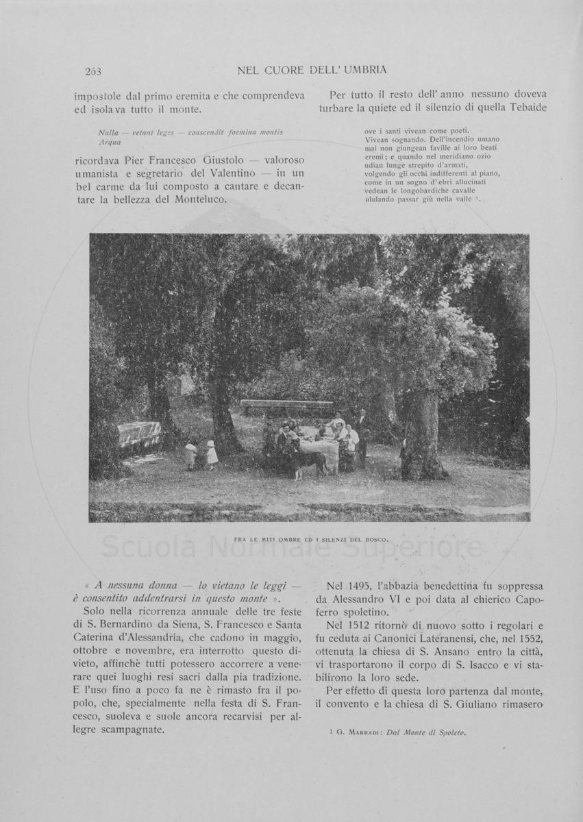 pagina
