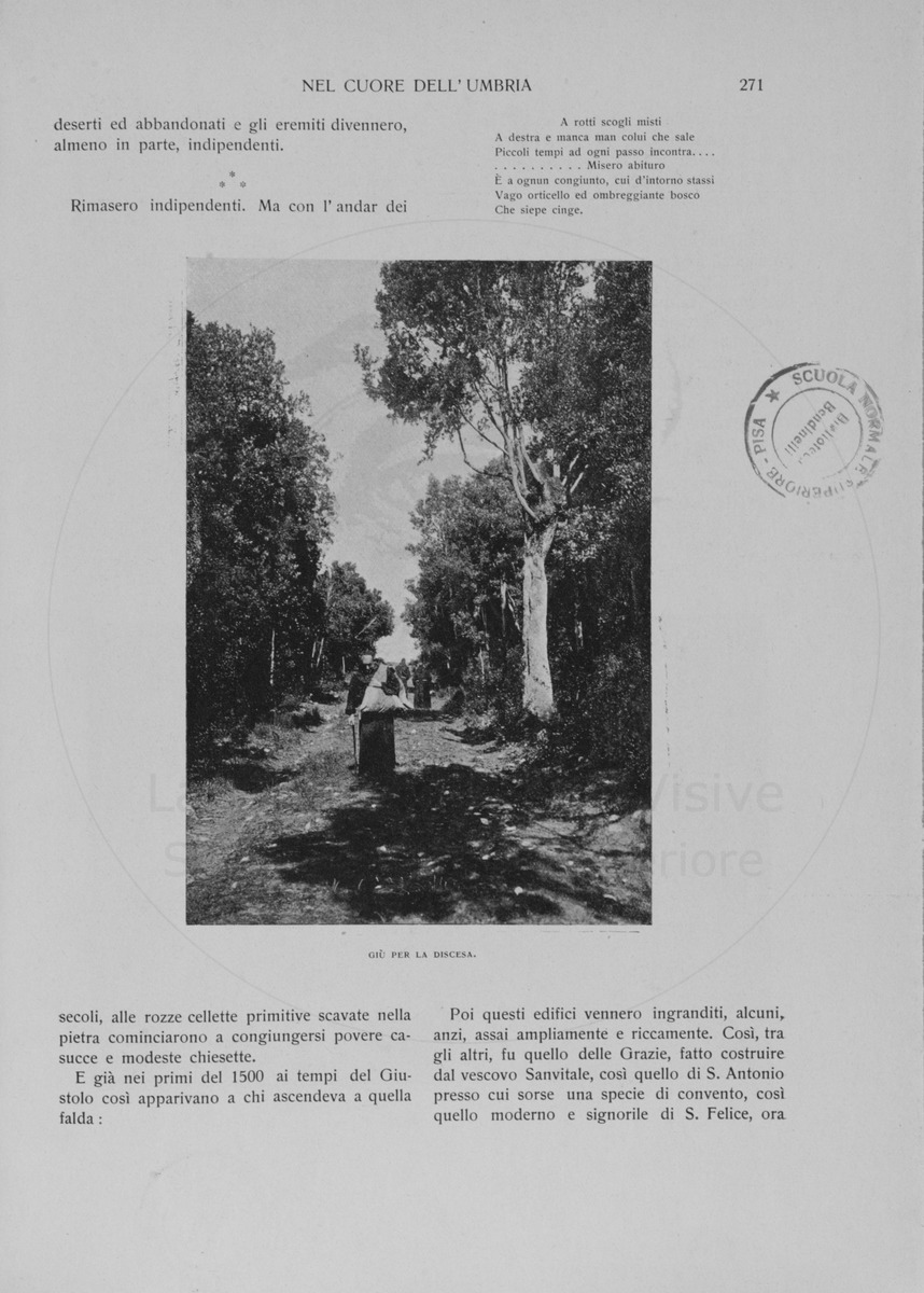 pagina