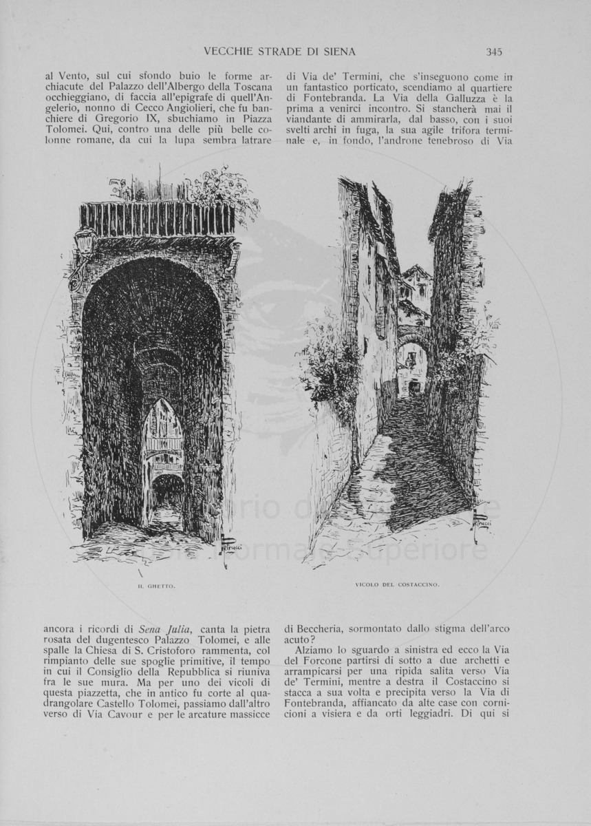 pagina