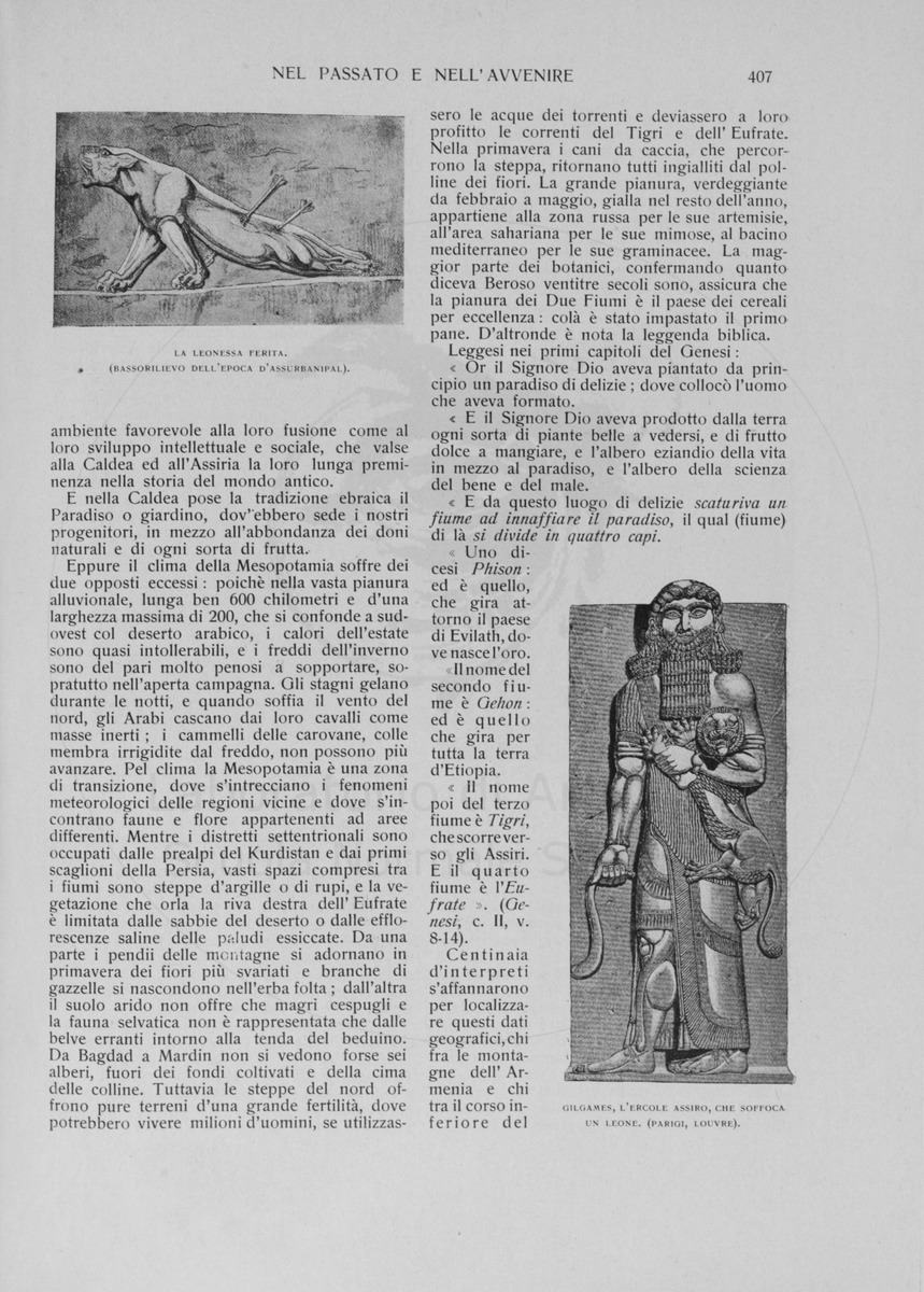 pagina