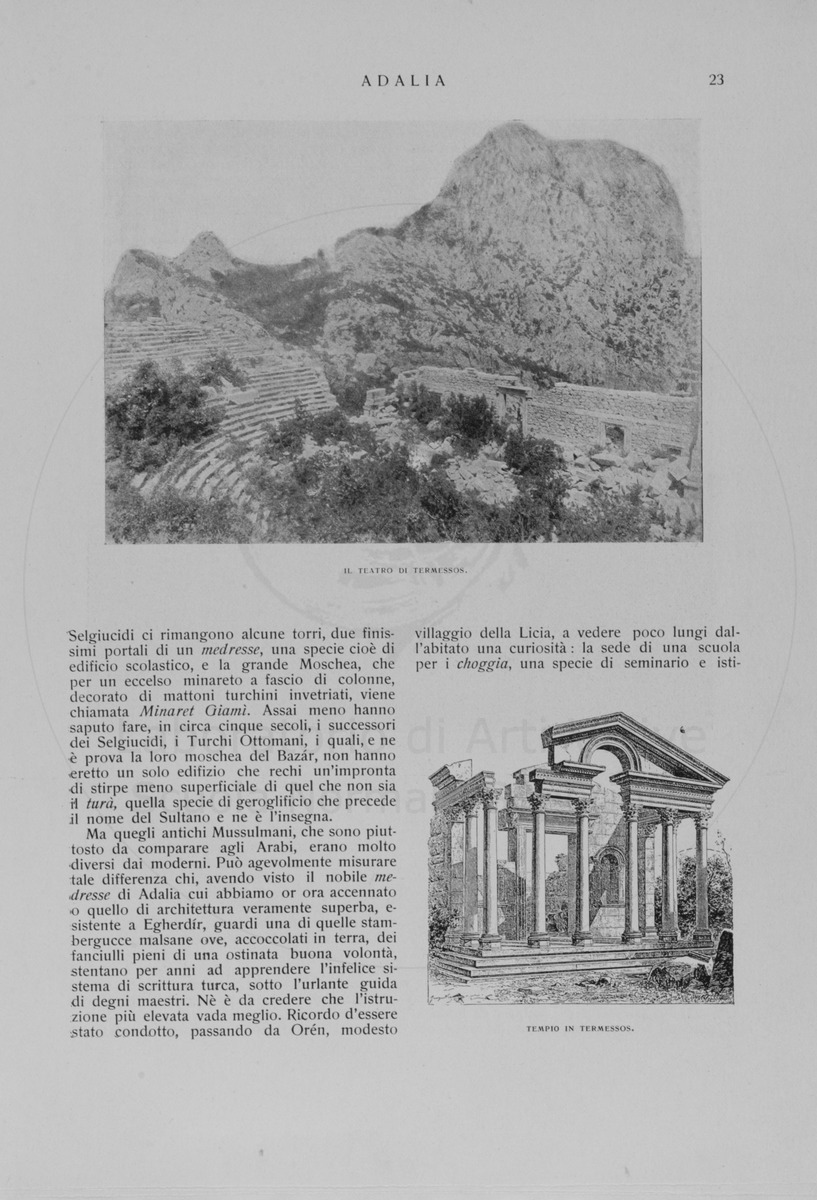 pagina