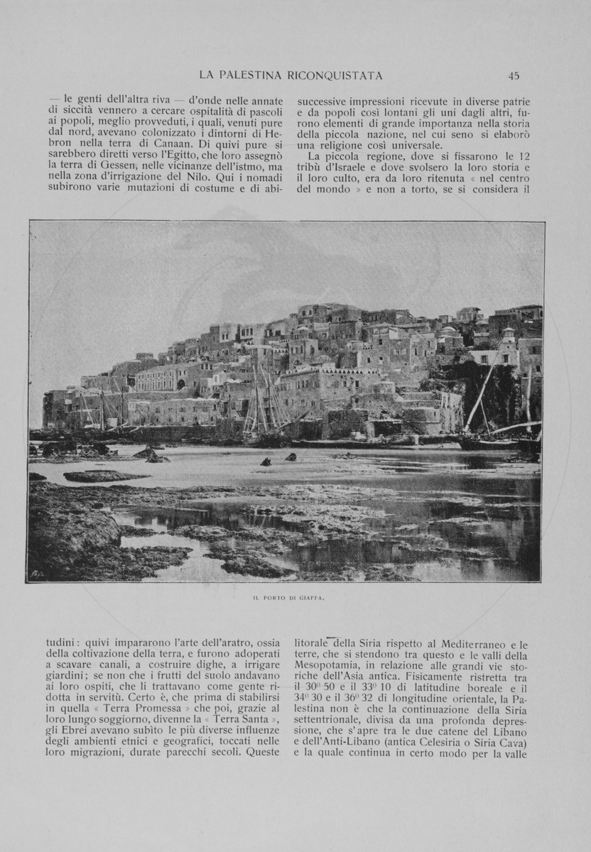 pagina