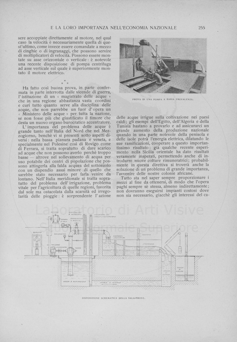 pagina