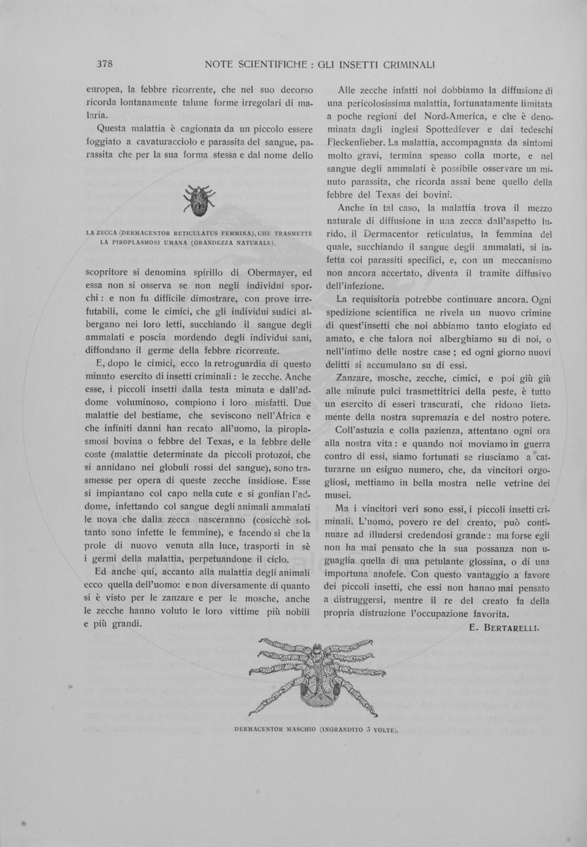 pagina