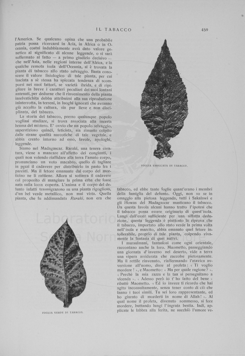 pagina
