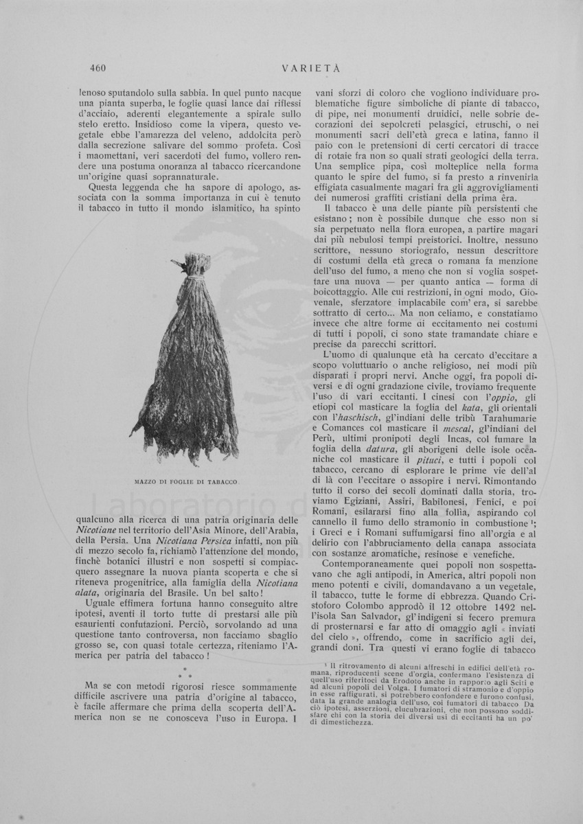 pagina
