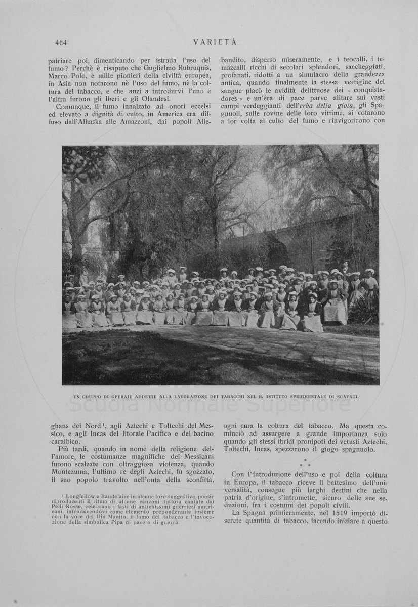 pagina