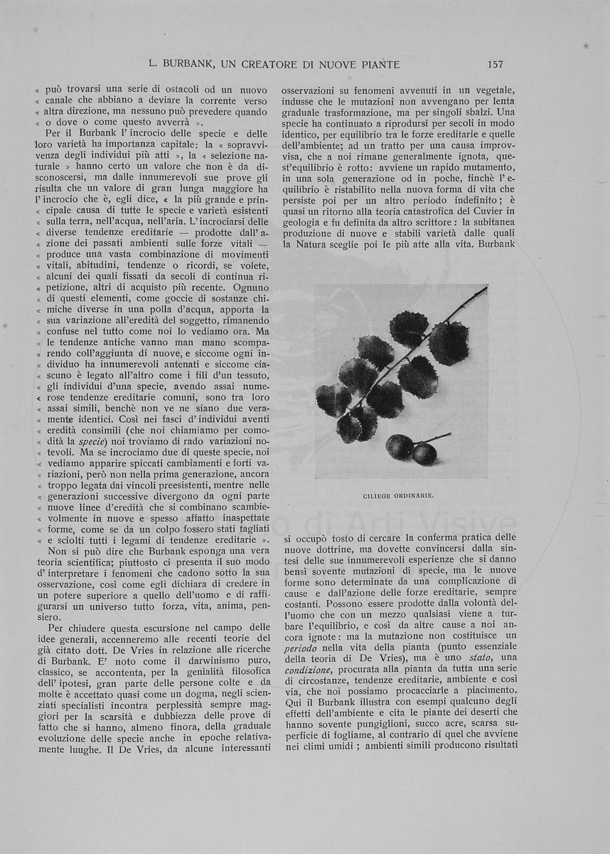 pagina