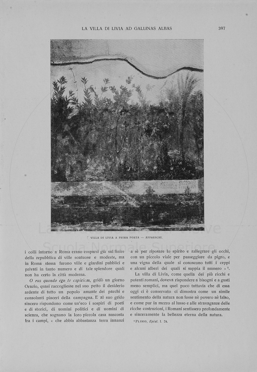 pagina