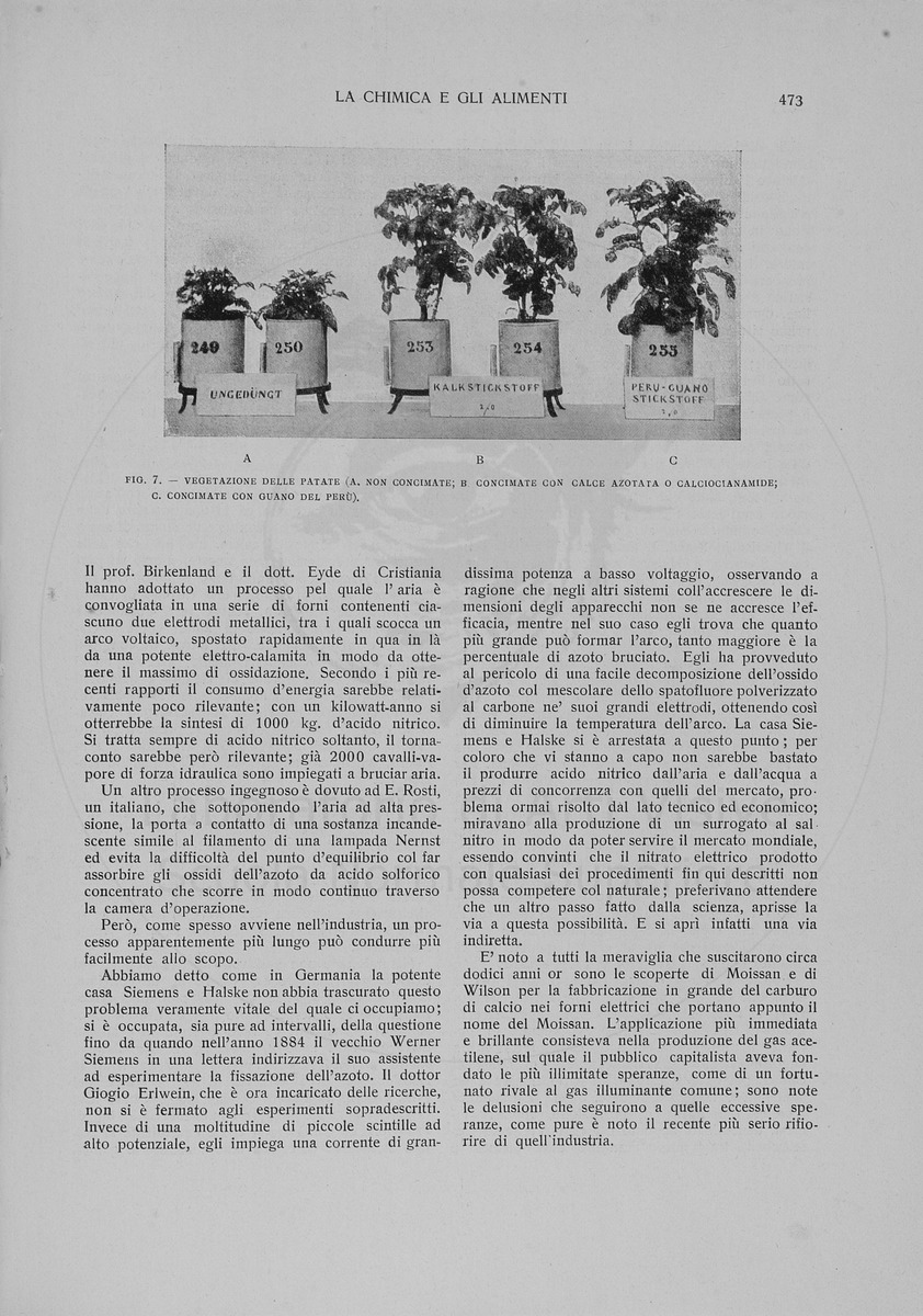 pagina