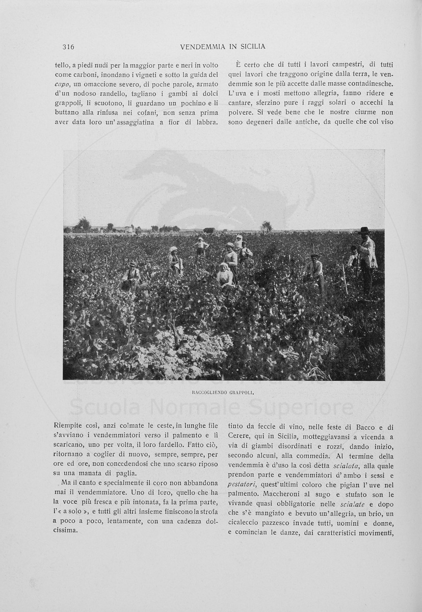 pagina