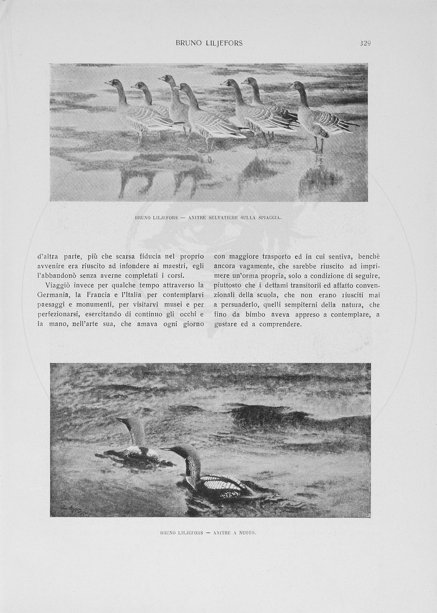 pagina