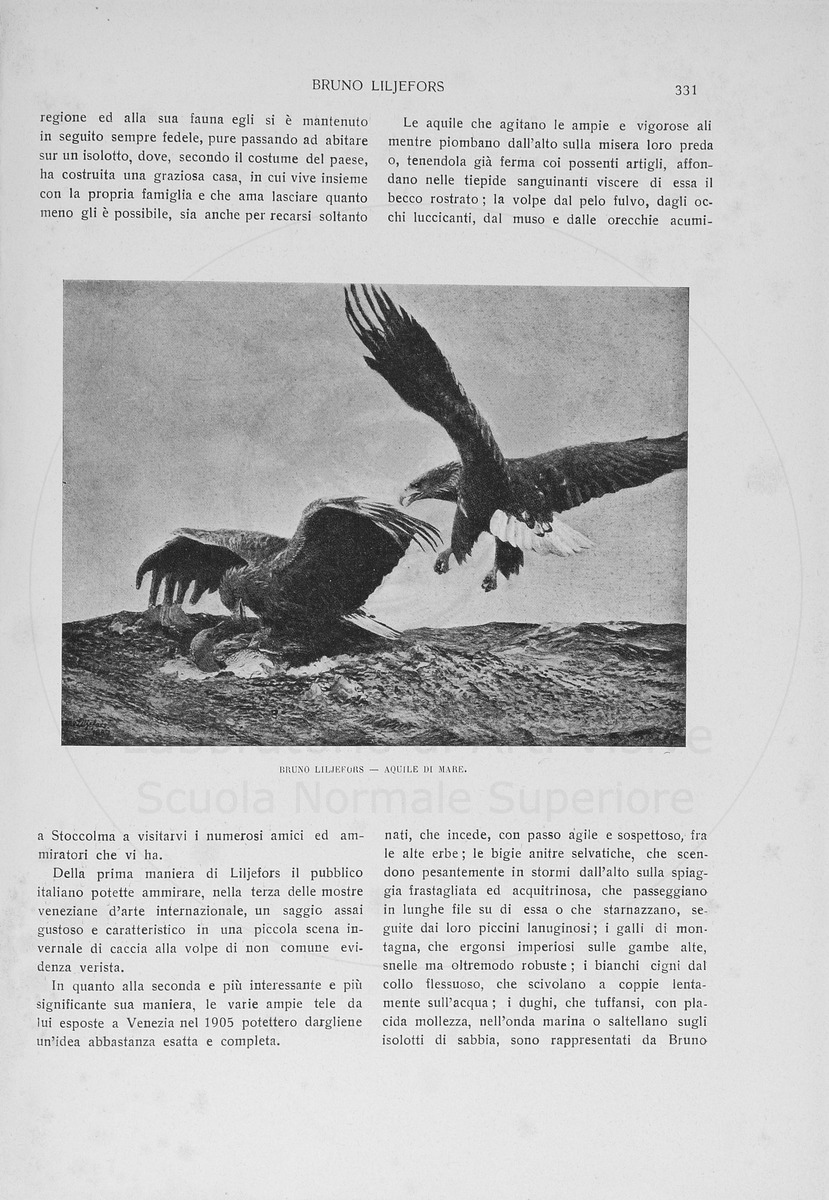pagina