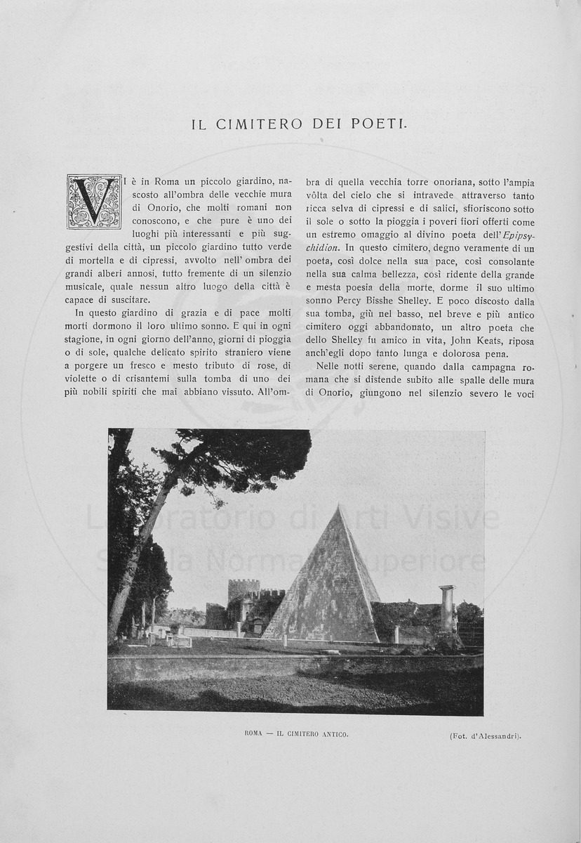 pagina