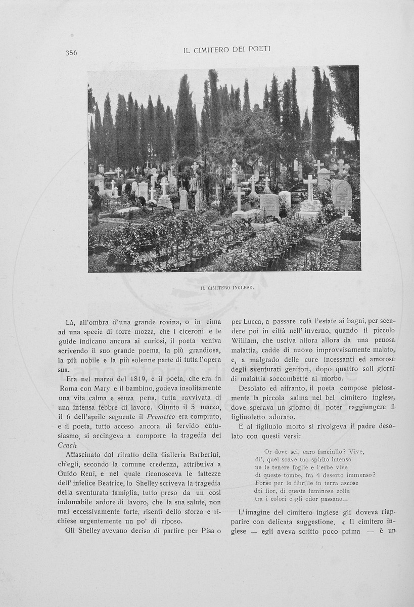 pagina