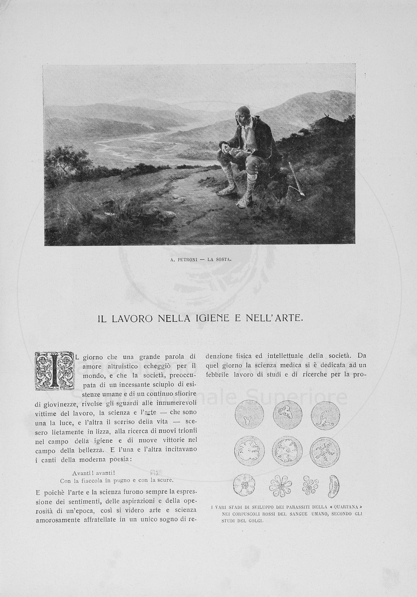 pagina