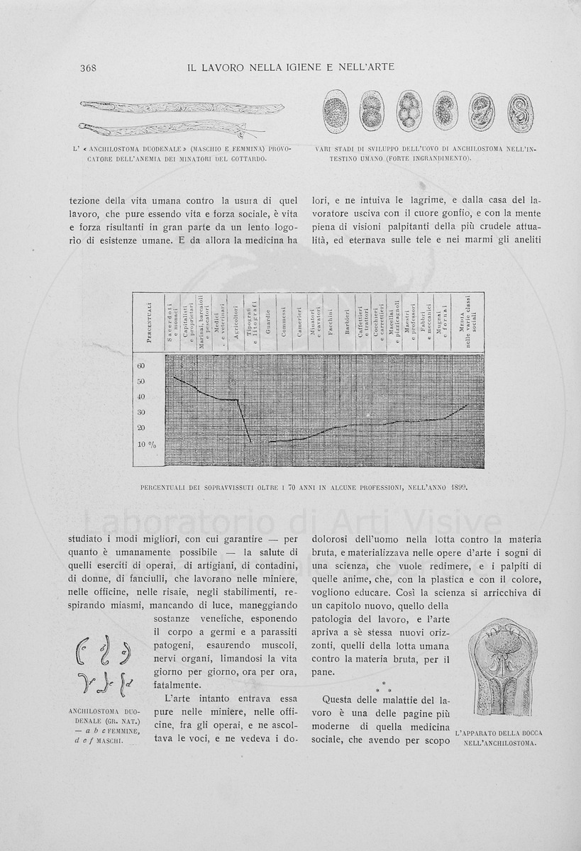 pagina