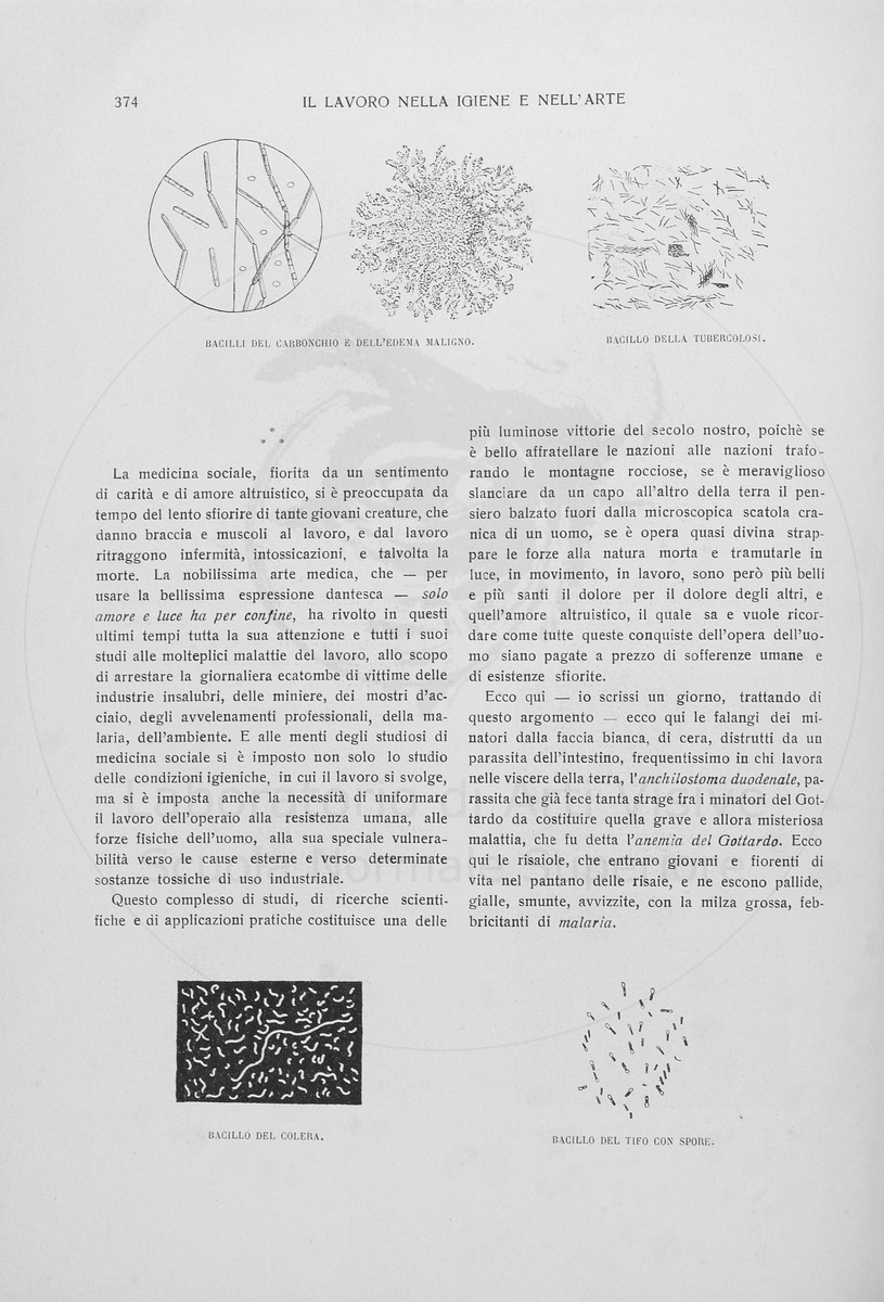 pagina
