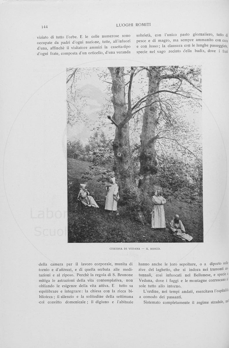 pagina
