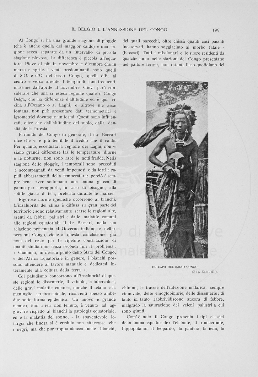 pagina