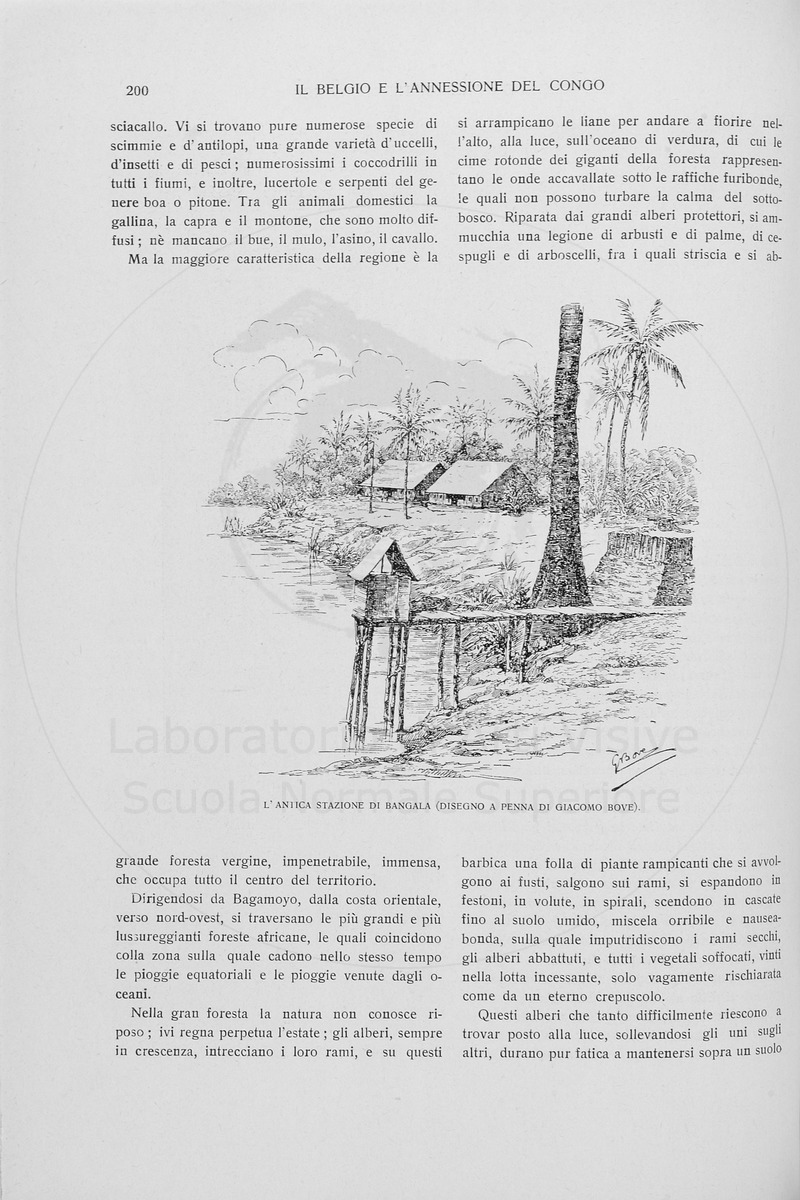pagina