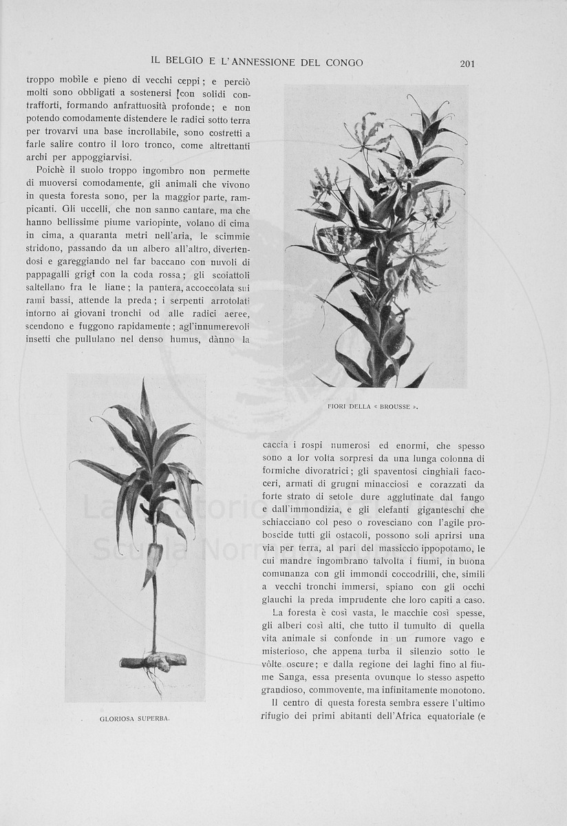 pagina
