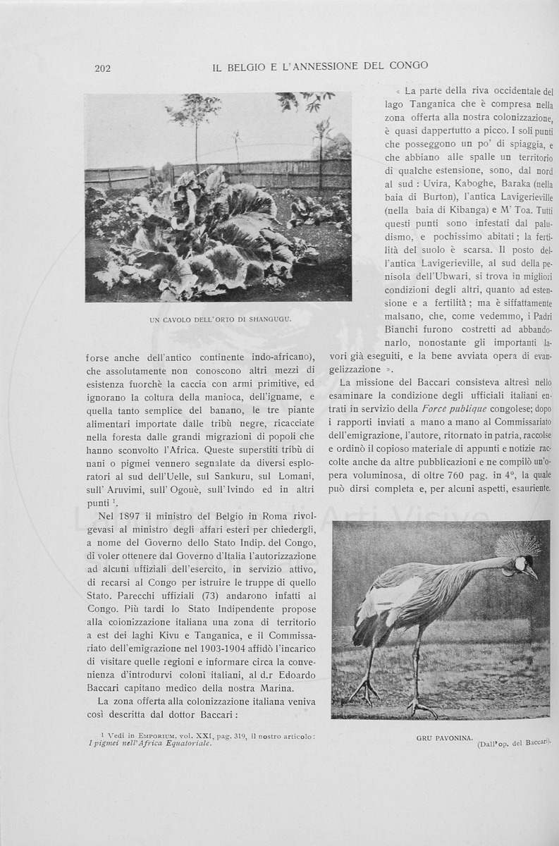 pagina