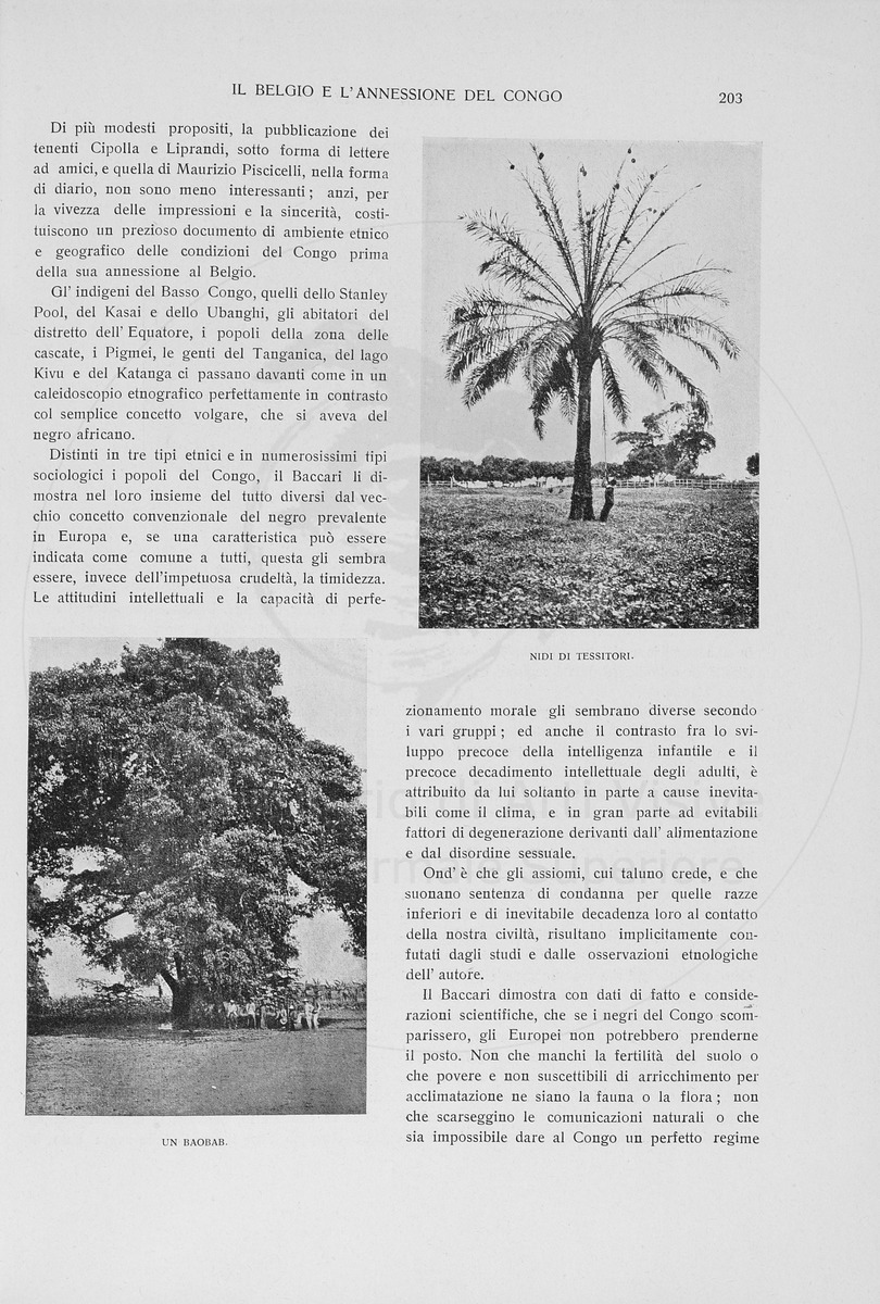 pagina