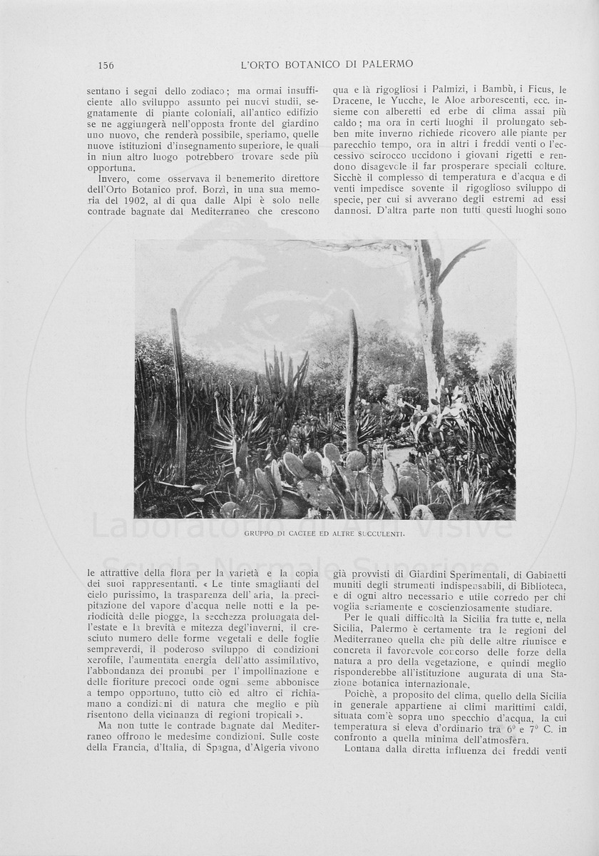 pagina