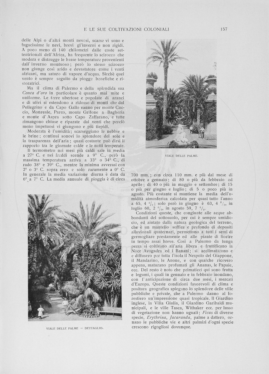 pagina