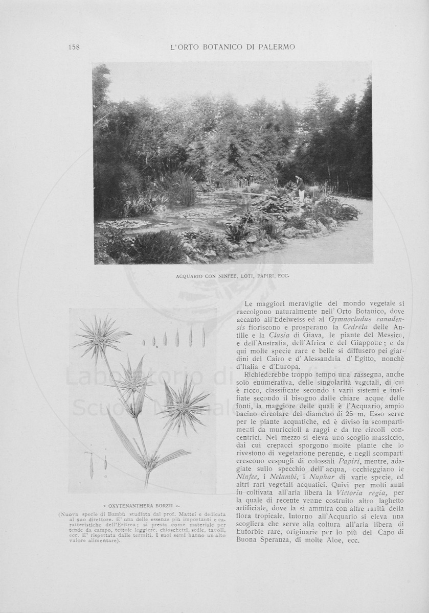 pagina