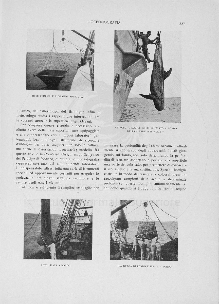 pagina