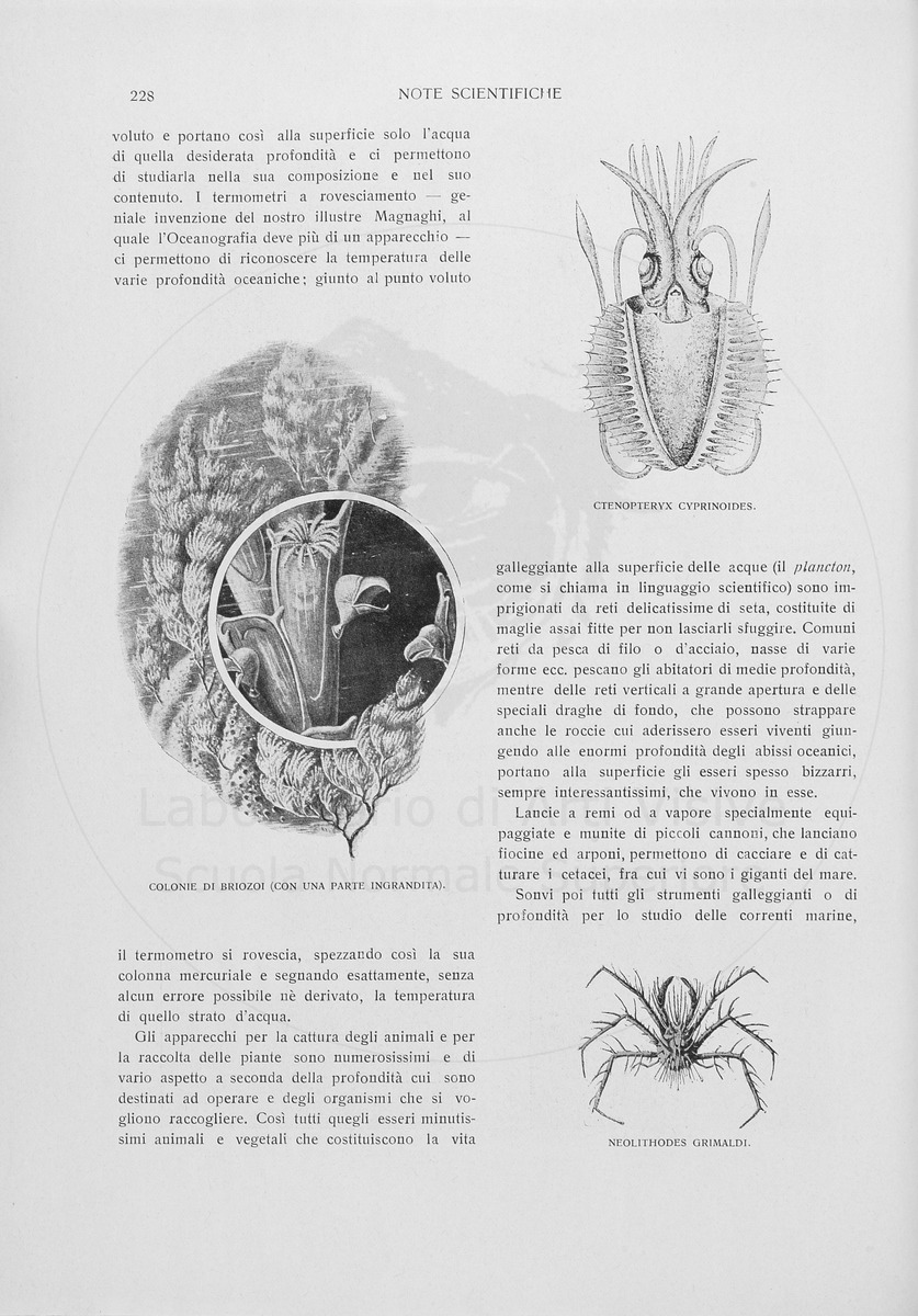 pagina